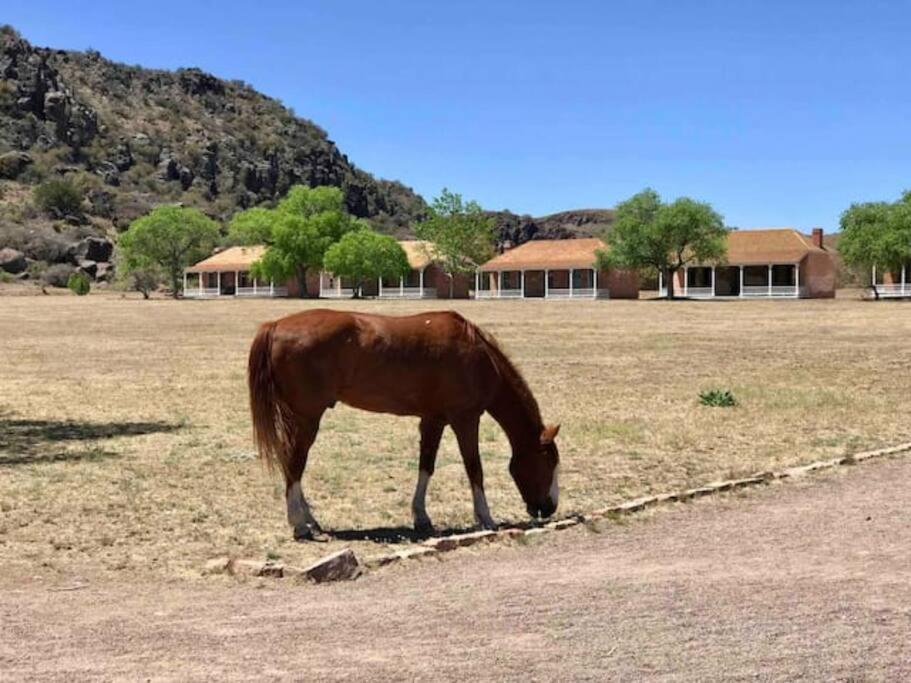 Cottonwood Creek Cabins - Alpine, Tx ภายนอก รูปภาพ