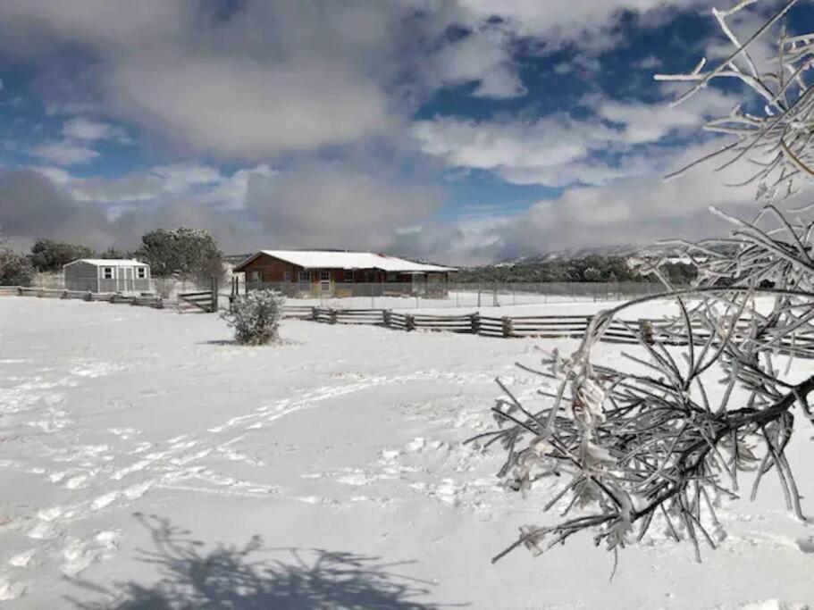 Cottonwood Creek Cabins - Alpine, Tx ภายนอก รูปภาพ